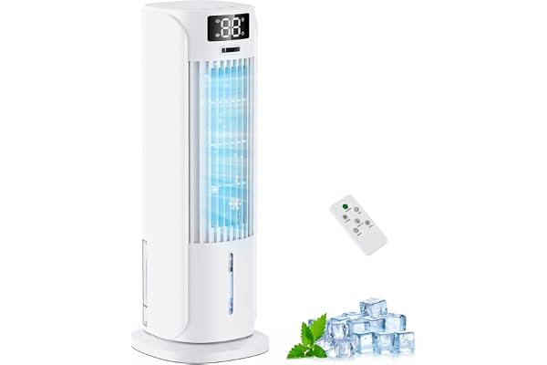 Condizionatore Portatile 800ML