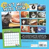 Image de Fat Cats 2015 Calendar