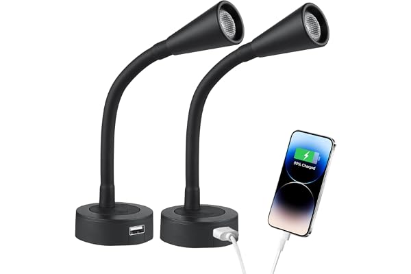 acegoo Lampe de Lecture LED 12V Dimmable 2 pièces Camping-Car Bateau Murale de Chevet Col de Cygne Lumière 3200K avec Chargeur USB & Interrupteur Variateur pour Caravane Van Voiture Camion