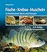 Produktbild Fische Krebse Muscheln in heimischen Seen und Flüssen: 115 Arten in über 350 Lebendabbildungen