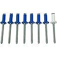 Cora 000116010 Kit 8 Rivetti Fissaggio Targa, 7 Blu e 1 Bianco