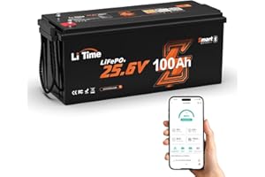LiTime Batteria Litio 24V 100Ah con Bluetooth, Protezione Basse Temperature e 100A BMS, Max Potenza 2560Wh, 15000+ Cicli, Batteria Lifepo4 24V per Caravan Barca Energetico Domestico Sistemi Fuori Rete