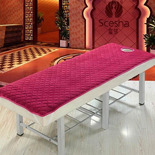beauty bedspread/padded mattress in winter/thermal mattress/beauty salon mattress/special mattress/foldable mattress-L