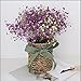 Produktbild LSRHT Künstliche Blumen Kreativität Gypsophila Kübelpflanzen Pflanzen Lila