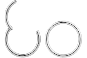 365 SLEEPERS 2 piezas titanio 16G unisex aro con bisagras segmento labio nariz anillo hélice tragus tabique durmiente pendientes 6 mm - 16 mm