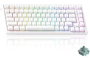 Akko Clavier Gaming TAC75 HE 8 kHz Rapid Trigger, Clavier Filaire à Effet Hall 75% avec commutateur magnétique, actionnement réglable, Snap Tap, ARGB (Blanc translucide, commutateur AstroAim)