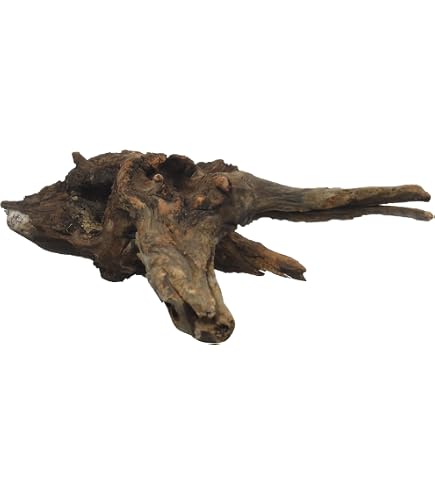 Legno Di Mangrovia Amtra Per Acquari - Decorazione Naturale Per Acquascaping