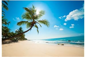 Aoihrraan 3x2,5m Spiaggia Tropicale Sfondo Mare Palma Oceano Blu Sole Fotografia Sfondo Matrimonio Riprese Campo Estivo Decorazione Feste Bambini Adulti Amante Ritratto Studio Fotografico Puntelli