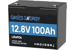 OASESENERGY Oaesenergy Batterie Lithium 12V 100Ah Mini, Batterie LiFePO4 Rechargeable avec BMS 100A, Batterie au Lithium 1280 Wh, pour Camping Car, Système Off-Grid, Bateau, Caravane, Solaire