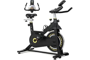 ISE Bicicleta Estática Ajustable Resistencia, Bici Estatica con LCD Pantalla, Soporte para teléfono móvil, Ipad y botella, Bicicleta Profesional, Sillín y Asa Ajustable, Max.120KG