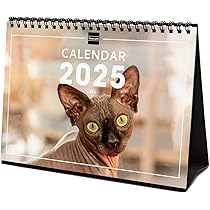 2025 Desktop Calendar - International Cats Theme With Multi-Language Month View