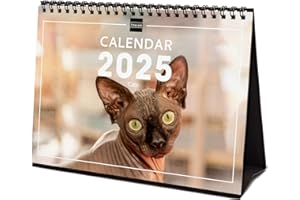 Finocam – International 2025 Desktop Photo Calendar Month View January 2025 – December 2025 (12 Months) Cats International