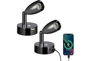 acegoo Lampe de Lecture LED 12V Camping-Car avec Chargeur USB Lit Murale Chevet Spot, Dimmable DC12-24V pour Bateau Cabine Camion Van Caravane (Noir Brillant, 2 Pcs)