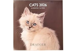 DRAEGER PARIS 1886 - Grand Calendrier mural 28x29 cm 2026 - Thème Chats - 12 mois - Papier FSC - Illustrations détachables