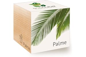 Feel Green Ecocube Palme, Idea de Regalo sostenible (100% Eco Friendly), Grow Your Own/Anzuchtset, Plantas en el Cubo de Madera, Fabricado en Austria