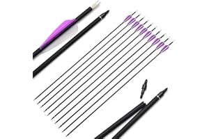 SHARROW 12pcs Freccia di Carbonio 30 Pollici Spine 500 Tiro con L'Arco in Carbonio Frecce con Faretra Freccia per Arco Compound Ricurvo (12pcs)