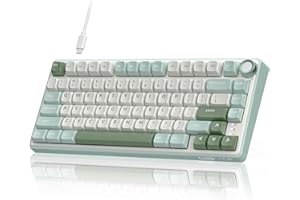 RK ROYAL KLUDGE R75 Mechanical Keyboard Wired with Volumn Knob, 75% TKL Custom Gaming Keyboard Gasket Mount RGB Backlit with Software, MDA Profile, Hot Swappable Silver Switch, PBT Keycaps (US Layout)