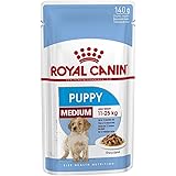 cocker junior royal canin