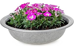 MATCHES21 HOME & HOBBY matches21 Zinc Bowls zinc Bowl Planter 1 pcs. Traditional Decorative Metal Bowl - Ø 35x9,5 cm