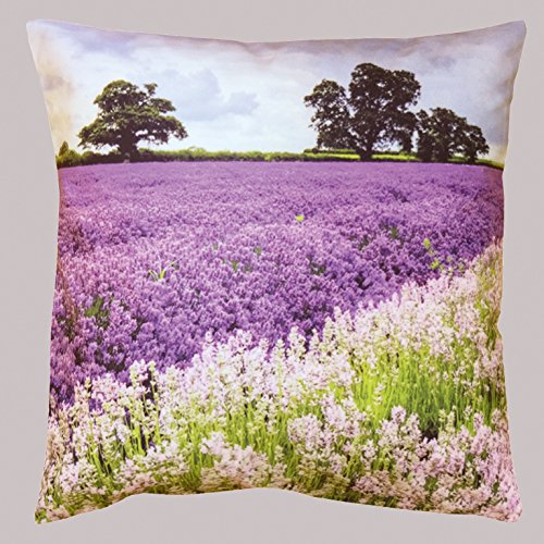SALE - Originelle Kissenhülle " ZAUBERHAFTE LANDSCHAFTEN " , moderner Fotoprint - Kissenbezug mit wunderschönen Motiven je 40 cm x 40 cm - trendiger Fotoprint - aus Kurzplüsch - sehr weich und anschmiegsam - ein absoluter EYECATCHER - hier im KAMACA-SHOP sind auch weitere Fotodruck - Kissen erhältlich (LAVENDELFELD)