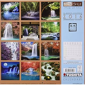 Feng Shui Flow of Life 2016