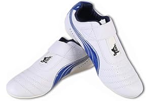 fayengan Scarpe Taekwondo Sneaker per Arti Marziali Scarpe Sportive Leggere per Boxe Karate Kung Fu Tai Chi Training (Color : Blue, Size : 35 EU)