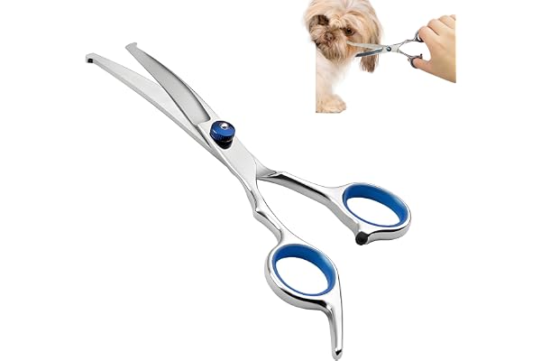 Ciseaux de Toilettage Professionnels pour Chiens et Chats en Acier Inoxydable, avec Embouts de Sécurité Ronds, Ciseaux incurvés, Idéal pour Visage, Pattes, Corps, Coiffure Animal
