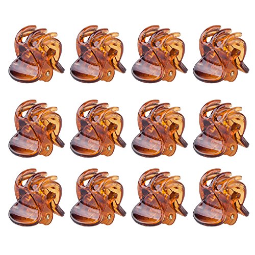 TRIXES 12Pc Stylish Brown Mini Hair Claws Clips Pins Clamps
