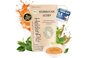 HeldenPilz® Champignon à thé bio Kombucha – Scoby vital et puissant avec liquide de racine | Pour jusqu'à 6 l de kombucha | Garantie de succès et instructions | 100 % naturel, durable et sans