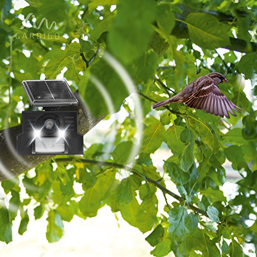 Gardigo Solar Vogelabwehr elektronische Vogelscheuche mit Ultraschall und Blitzlicht - 3