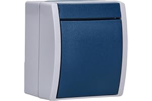 Busch-Jaeger 2621 W-53 Wipptaster Schließer (Thermoplast) Grau ocean® (IP 44) 2CKA001484A0370