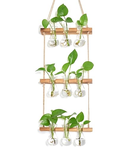 Plant aan de muur - Bloempotten binnen kopen