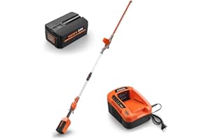 FUXTEC 40V Akku Hochentaster Hochheckenschere Set mit Lithium Akku Batterie 2Ah/EP20 + Ladestation EC20 -Besonderheit: Akku passend für alle FUXTEC 40V Geräte