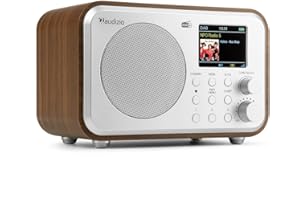 Audizio Milan DAB Radio con Bluetooth, batteria da 10 ore, radio da 2000 mAh, radiosveglia con sleeptimer, linea out, FM, ricerca auto, 40 posizioni, radio digitale mobile DAB Plus, radio da cucina,