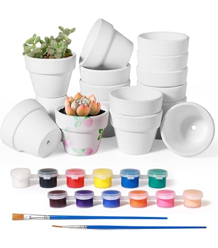6.5CM 12pcs Pot De Succulent En Terre Pour Cactus Fleurs Plantes Terracotta Pot Argile Pour Cactus Succulent Plantes Fleur Decoration Horticole Mariage Fete Maison Jardin Et Chambre 34400165