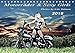 Motorräder u. Sexy Girls 2018 (Tischkalender 2018 DIN A5 quer): Stilvoll gestaltete Bilder mit schweren Maschinen und heiße Girls (Monatskalender, 14 ... [Kalender] [Jun 10, 2017] Talmon, Udo by 
