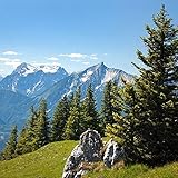 HEFEL Seitenschläferkissen Zirbe 31633K 35×160 cm – 100% Schurwollnoppen 1.300 g und Zirbenflocken 200g für einen erholsamen Schlaf – Messeneuheit 2017 - 5