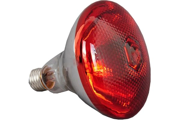 GEQIAN Lampe chauffante infrarouge anti-explosion 250 W – Ampoule épaisse étanche anti-explosion pour porcelet, poulet, canard, oiseaux