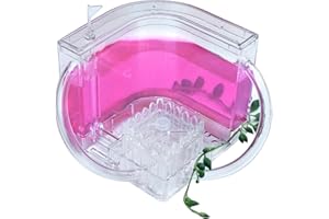 Runsmooth Ant Farm Castle Ant House Set Translucent Gel Nest Observation Kit With Pipe Insect Ecology Box Ant Breeding Cage Educational Toy For Kids Study Ants In The 3D Maze Pink