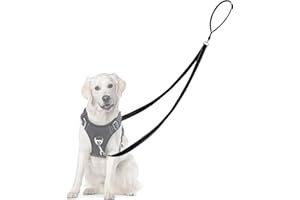 Adiwo Smycz dla psa z dwupunktową kontrolą, profesjonalna, zapobiegająca ciągnięciu, z odblaskowymi szwami i miękką wyściółką, łatwa do przekształcenia w pojedynczą smycz (czarna)