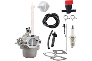 JJDD Carkio Ersatz-Vergaser Kraftstofffilter Zündkerzen-Set für Briggs & Stratton 796122 794593 696737 793161 Ariens MTD Cub Cadet Schneefräse Schneefräse