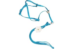 XINYIND XYDZ Bird Harness Parrot Leash Flying Anti-Bite Traction Rope Bird Training Outdoor Carrying Flight Rop Adjustable Fit Budgerigar Lovebird Cockatiel Mynah Scarlet Macaw Small Bird - Blue