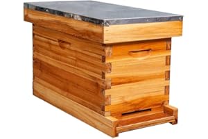 MAYBEE Beeswax Coated Beehive 5 Frame Nuc Beehive Complete Box Kit with Metal Roof Includes Wooden Frames & Waxed Foundations for Langstroth Beekeeping
