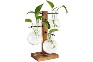 PAG Plant Terrariums Kit Desktop Hydroponics Air Planter Holder with 4 Bulb Beaker Glass Vase,Propagation Stations Terrarium For Water Plants Home Garden Office Decoration Accessories
