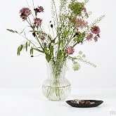 DEİNHAUS Cam Vazo, Şeffaf, &Ccedil;izgili Tasarım, 25 cm, Modern Minimalist Stil, &Ccedil;i&ccedil;ek D&uuml;zenlemeleri i&ccedil;in