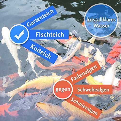 Algenvernichter (0,5 l) für kristallklares Wasser im Teich – gegen Fadenalgen Schwebealgen Schmieralgen, Algenentferner Fadenalgen-Stopp Algizid gegen Algen, fadenalgenfrei durch Fadenalgenvernichter Koiteich Gartenteich - 2