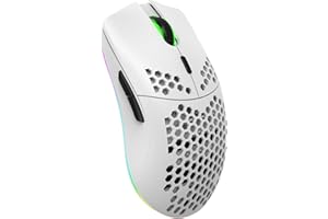 Zienstar-Ratón inalámbrico para Juegos Honeycomb,Recargable y Ligero con 3200 dpi,RGB Retroiluminado-Blanco