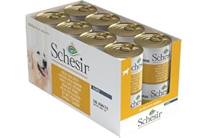 Schesir, Aliments humides pour Chiens Adultes au goût Poulet avec Citrouille, Filets en gelée Douce - Total 4,56 kg (16 boîtes de 285G)