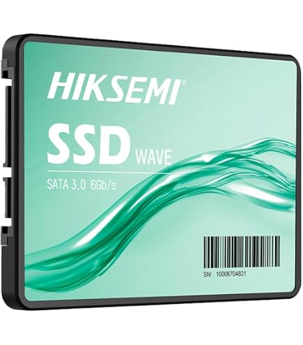 Hikvision E100 512GB 2.5
