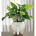 luminescence Baby Elephant Shaped Ceramic Indoor Flower Pot Planter Indoor Outdoor Planter Handicraft Plant Container Set (Ceramic) White Colour Size 5 INCH Pack of 1